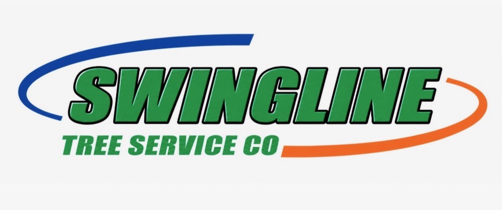 Swingline Tree Service – Full-Service, Environmentally-Sensitive Tree Care in Santa Clara & Santa Cruz
